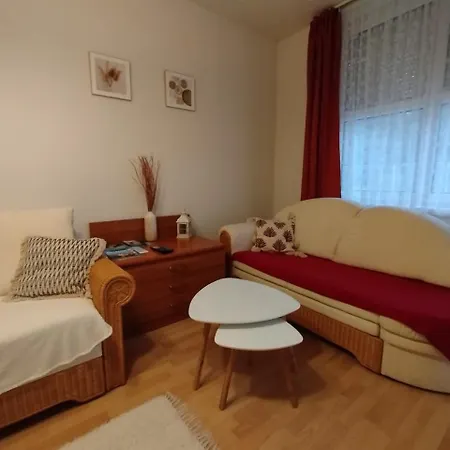 Agi Apartament *